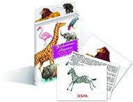 Дидактические карточки Животные Африки 9074