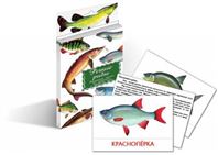 Дидактические карточки Речные рыбы 9094