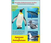 Дидактическое пособие Животные Арктики и Антарктики ПД-1766