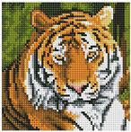 Алмазная мозаика 20*20см. Тигр на отдыхе с подр.,с полным заполнением AC20009