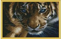 Алмазная мозаика Взгляд тигра 22*32см.с подр.,с полным заполнением AC22021