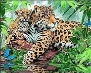 Алмазная мозаика Леопарды в природе 30*40см.с подр.,с полн. заполнением ST-397