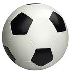 Мяч Р2-200 д200 Футбол (футбол) (8шт.в мешке)